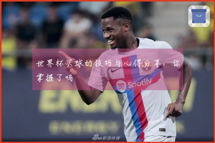 世界杯买球的技巧与心得分享，你掌握了吗