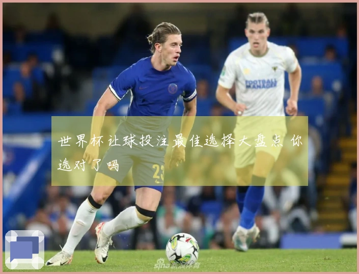 世界杯让球投注最佳选择大盘点 你选对了吗