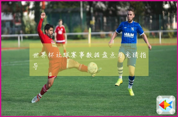 世界杯让球赛事数据盘点与竞猜指导