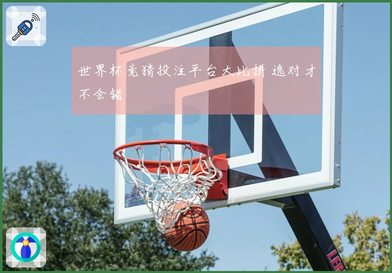 世界杯竞猜投注平台大比拼 选对才不会错
