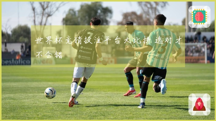 世界杯竞猜投注平台大比拼 选对才不会错