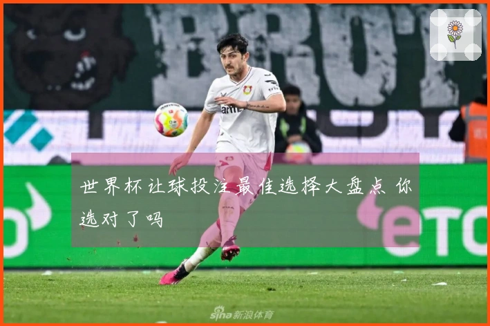 世界杯让球投注最佳选择大盘点 你选对了吗